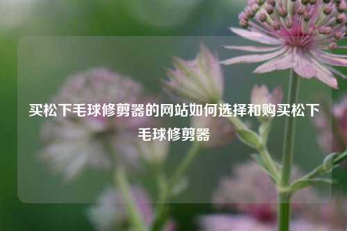 买松下毛球修剪器的网站如何选择和购买松下毛球修剪器