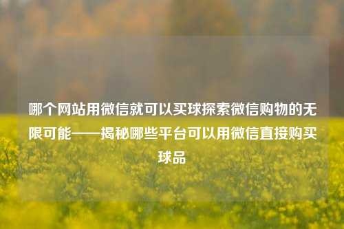哪个网站用微信就可以买球探索微信购物的无限可能——揭秘哪些平台可以用微信直接购买球品