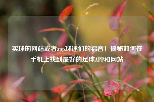 买球的网站或者app球迷们的福音！揭秘如何在手机上找到最好的足球APP和网站