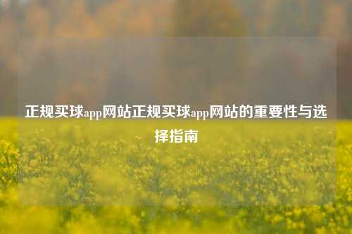 正规买球app网站正规买球app网站的重要性与选择指南