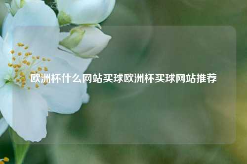 欧洲杯什么网站买球欧洲杯买球网站推荐