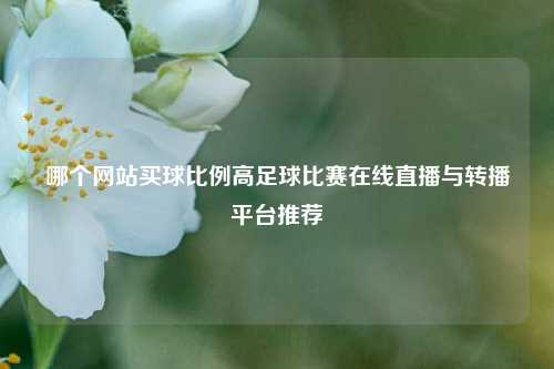 哪个网站买球比例高足球比赛在线直播与转播平台推荐