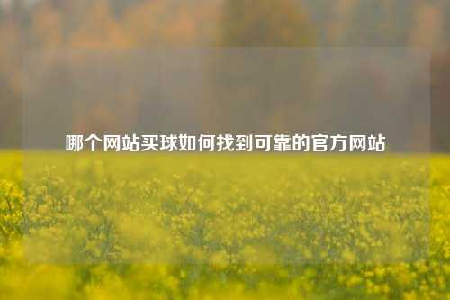 哪个网站买球如何找到可靠的官方网站
